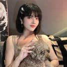 檢視主持人檔案